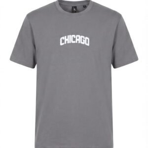 Chicago Arched Block Tee in Steel Gray