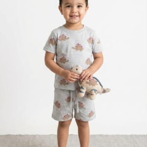 Boys' Dino Print T-Shirt & Shorts Set
