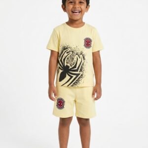 Spider Hero Boys Summer T-Shirt & Shorts Set