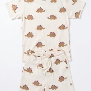 Dinosaur Print Boys T-Shirt & Shorts Set